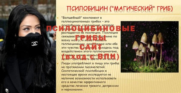 МДПВ Костерёво