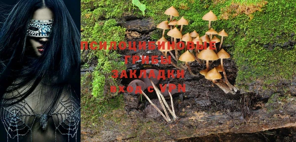 ГАЛЛЮЦИНОГЕННЫЕ ГРИБЫ Коряжма