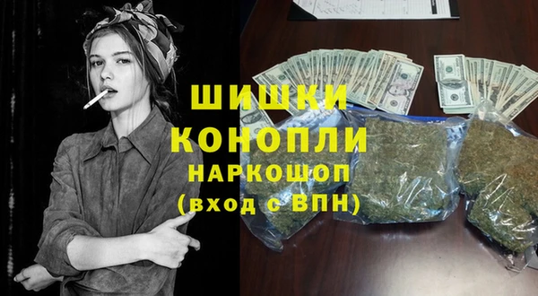 ГАЛЛЮЦИНОГЕННЫЕ ГРИБЫ Коряжма