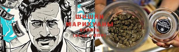МДПВ Костерёво