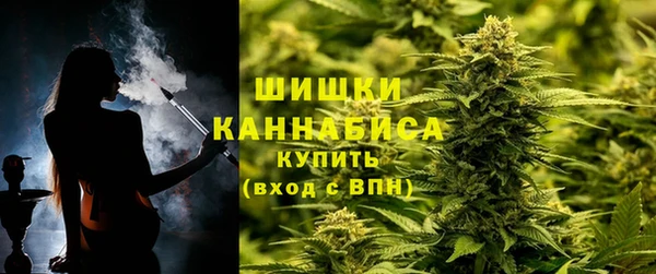 стаф Козловка