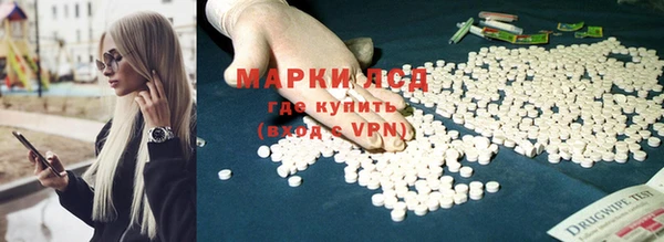 ГАЛЛЮЦИНОГЕННЫЕ ГРИБЫ Коряжма