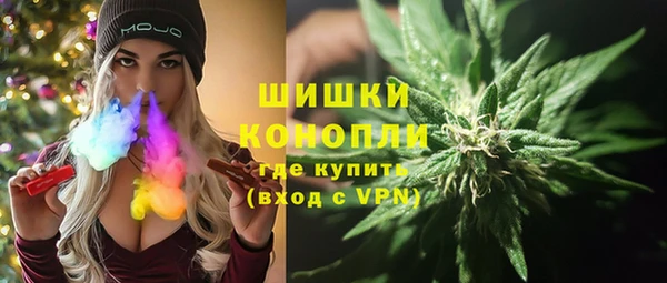 Альфа ПВП Корсаков