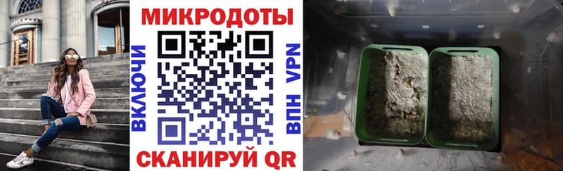 Псилоцибиновые грибы Psilocybine cubensis  наркотики  Томари 